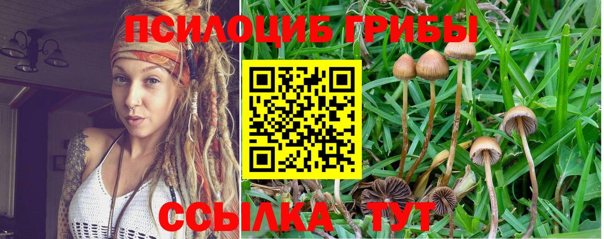 Псилоцибиновые грибы прущие грибы Ялта