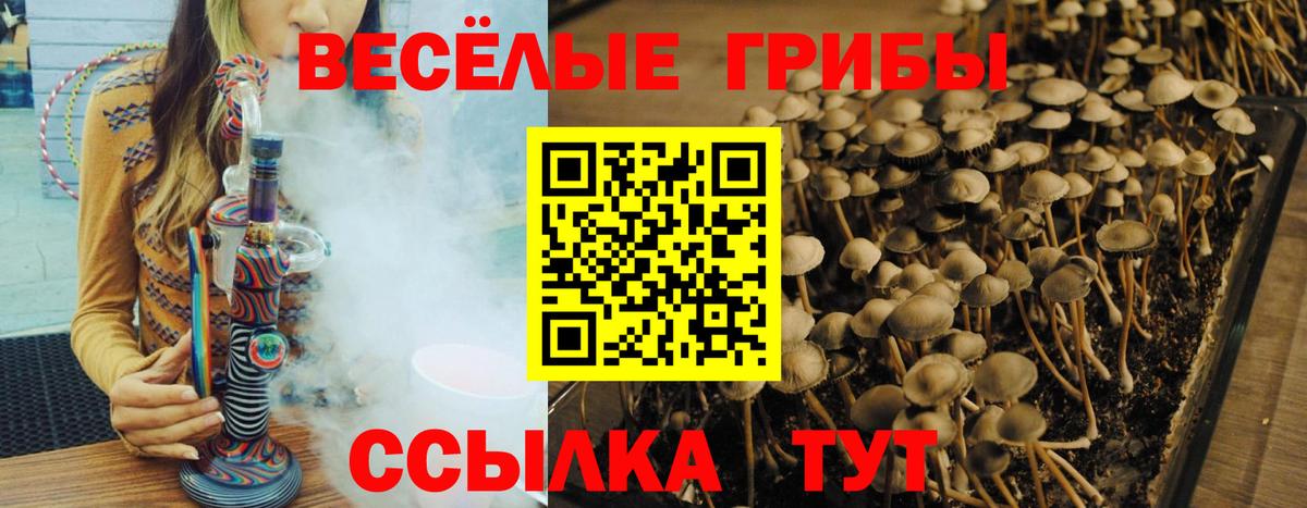 Галлюциногенные грибы MAGIC MUSHROOMS  Вход с VPN  Ялта 